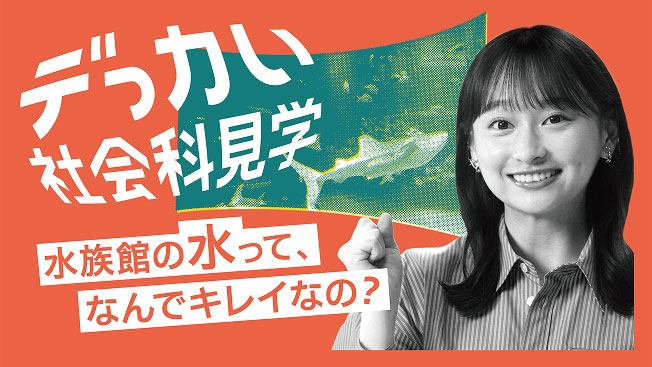 큰 사회과 견학 수족관의 물은, 어째서 깨끗한가?