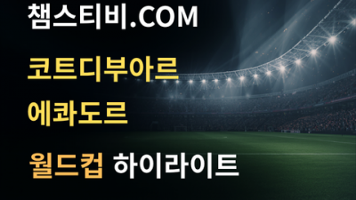 코트디부아르 VS 에콰도르 1:0 월드컵 하이라이트