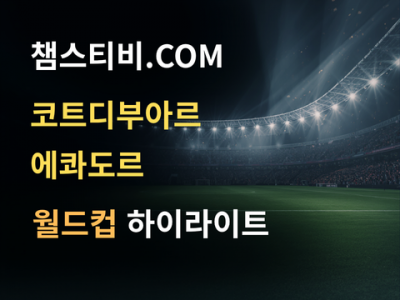 코트디부아르 VS 에콰도르 1:0 월드컵 하이라이트