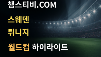 스웨덴 VS 튀니지 5:1 월드컵 하이라이트