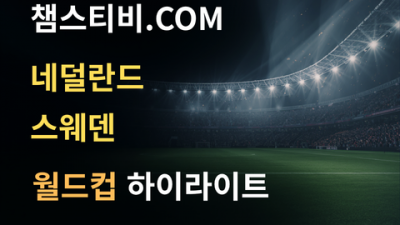 네덜란드 VS 스웨덴 5:1 월드컵 하이라이트