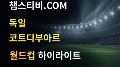 독일 VS 코트디부아르 2:2 월드컵 하이라이트