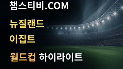 뉴질랜드 VS 이집트 1:3 월드컵 하이라이트
