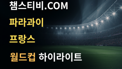 파라과이 VS 프랑스 0:1 월드컵 하이라이트