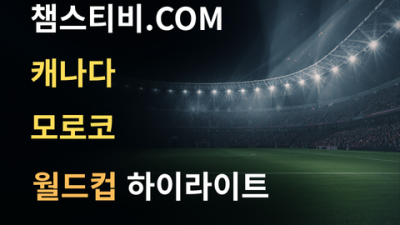 캐나다 VS 모로코 0:3 월드컵 하이라이트