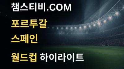 포르투갈 VS 스페인 0:1 월드컵 하이라이트