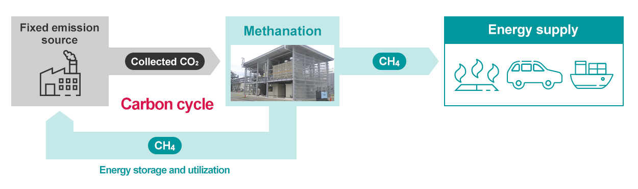 Carbon cycle achieved using 토토사이트 들어가는법